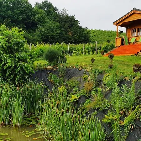 בית נופש Na Winnicy Dabrowka Szczepanowska