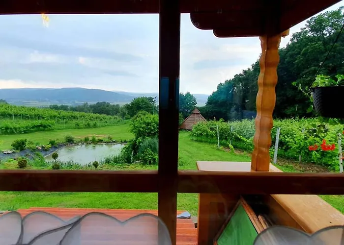 Na Winnicy בית נופש *