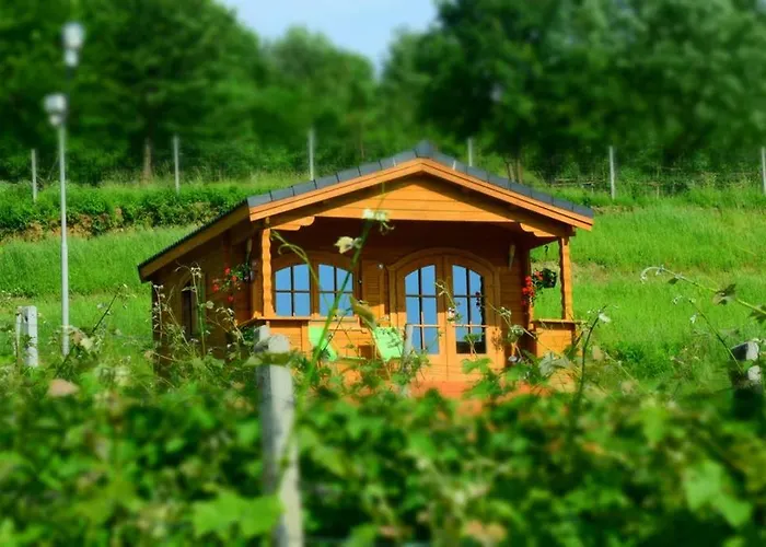 Na Winnicy Dabrowka Szczepanowska